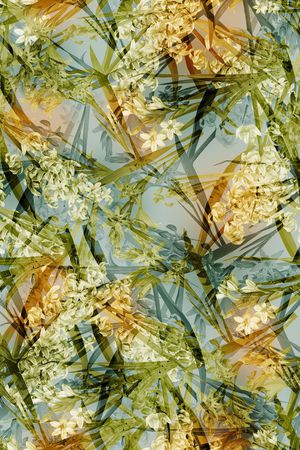 花卉 叠加印花华亿平台图片