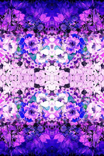 256521-手绘双层花卉