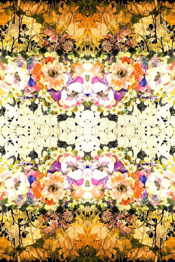 256522-手绘双层花卉