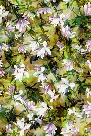 印花华亿平台图片