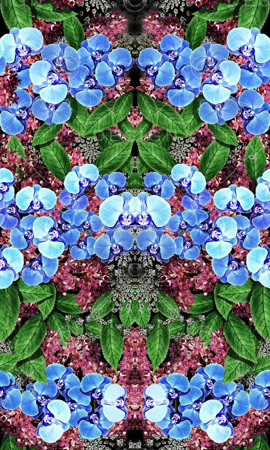 花卉 蝴蝶兰 镜像 对称 定位印花华亿平台图片