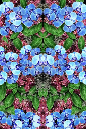 花卉 蝴蝶兰 镜像 对称 定位印花华亿平台图片