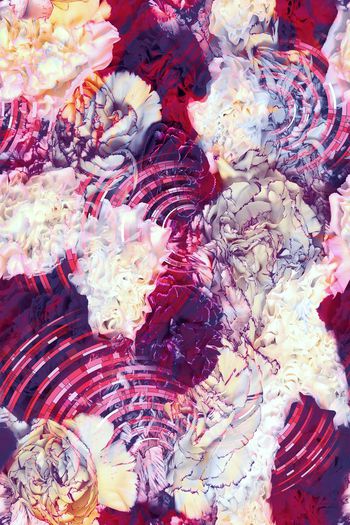 256769-圆环与花卉