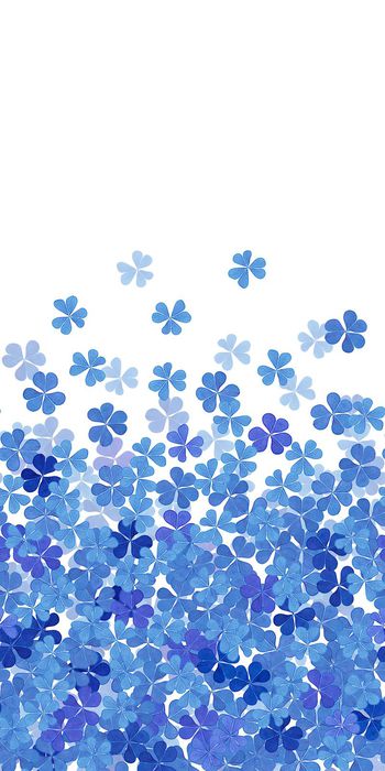 256955-BF0429定位过渡服装华亿平台