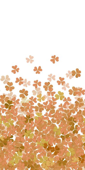 256956-BF0429定位过渡服装华亿平台