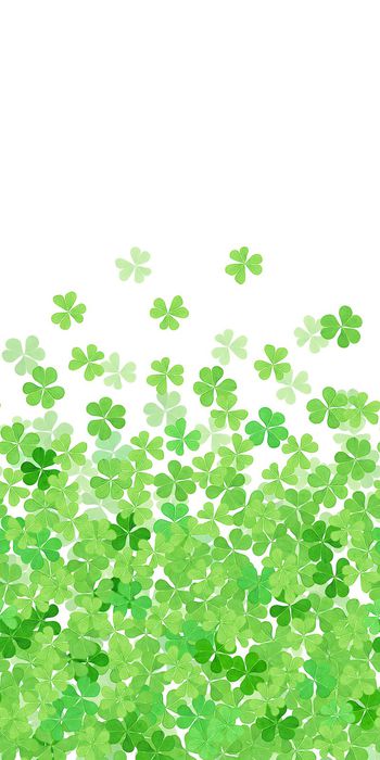 256957-BF0429定位过渡服装华亿平台