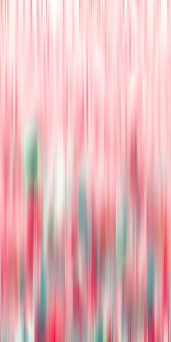 256962-BF0434过渡定位服装