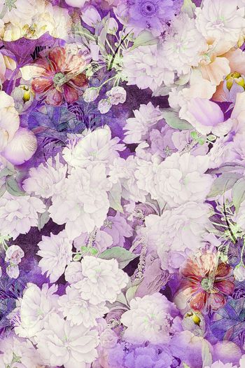 256982-平面花卉组