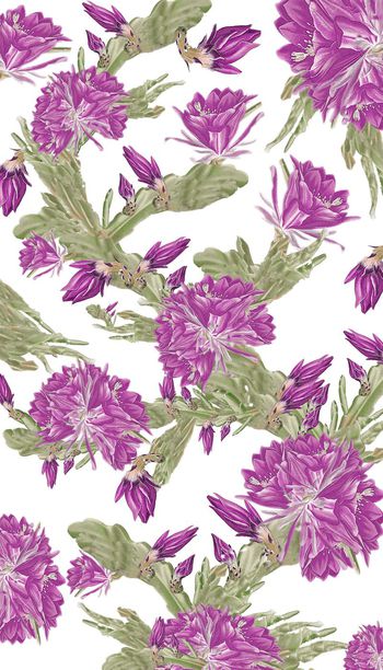 257049-水彩手绘式仙人掌花卉