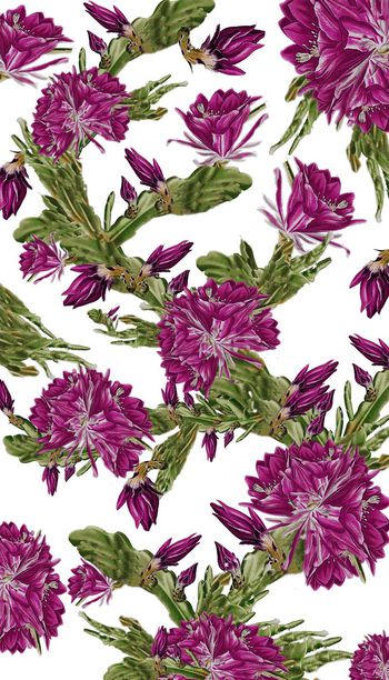 257050-水彩手绘式仙人掌花卉