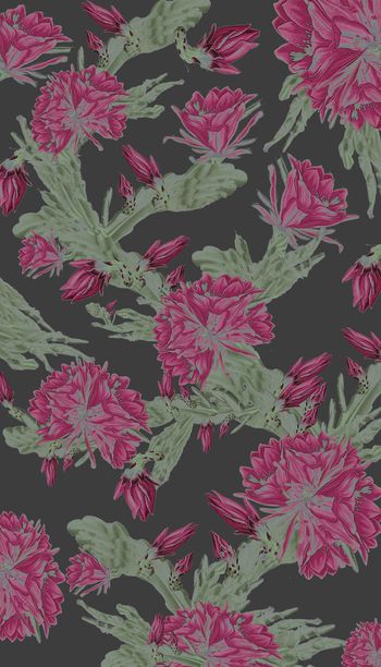 257052-水彩手绘式仙人掌花卉