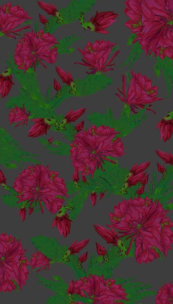 257053-水彩手绘式仙人掌花卉