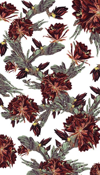 257054-水彩手绘式仙人掌花卉