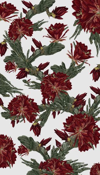 257055-水彩手绘式仙人掌花卉