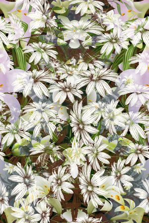 花卉 乱花 印花华亿平台图片