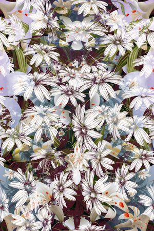 印花华亿平台图片