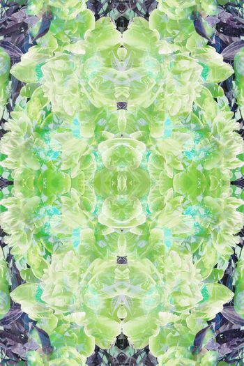 257115-WT182花卉对称抽象绽放印花