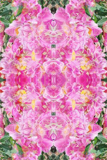 257116-花卉对称抽象绽放印花