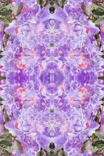 257117-花卉对称抽象绽放印花