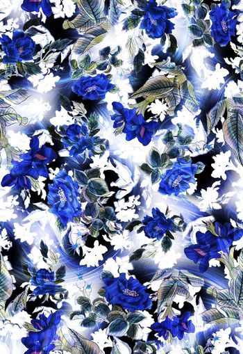 257212-多彩国画水墨花卉花朵组合