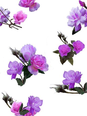 印花华亿平台图片