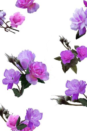 印花华亿平台图片