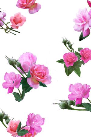 印花华亿平台图片