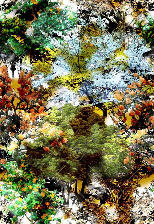 多彩 树木 树林 风景 植物印花华亿平台图片