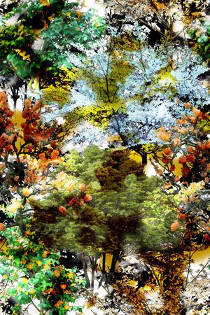 多彩 树木 树林 风景 植物印花华亿平台图片