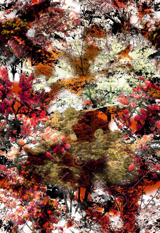 印花华亿平台图片