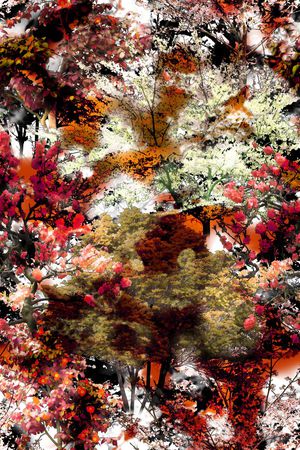 印花华亿平台图片