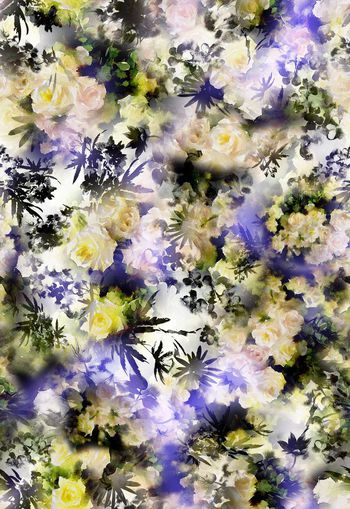 257243-多彩水墨水彩效果花卉花朵组合