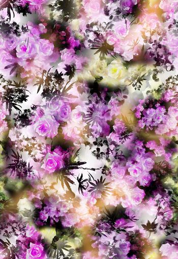 257245-多彩水墨水彩效果花卉花朵组合