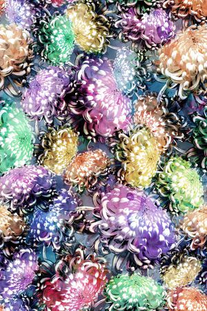 多彩 水彩 水墨效果 菊花 花卉 花朵印花华亿平台图片