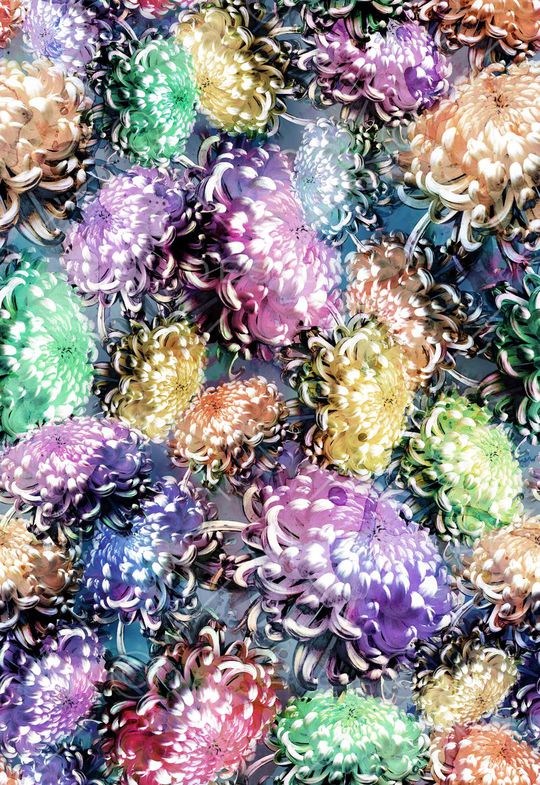 多彩 水彩 水墨效果 菊花 花卉 花朵印花华亿平台图片