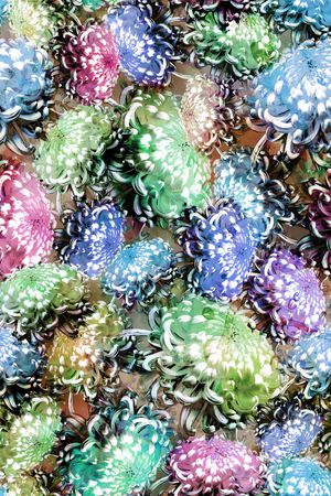 印花华亿平台图片