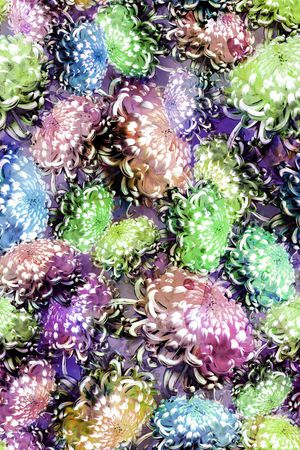 印花华亿平台图片