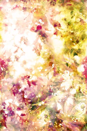 257366-枫叶与水果