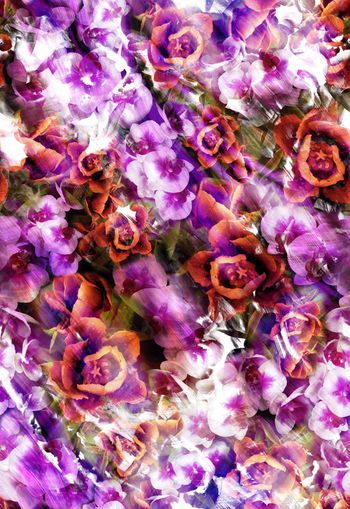 257444-多彩水彩效果花卉花朵