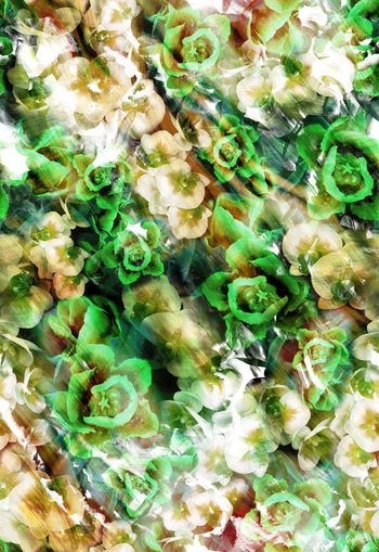 257445-多彩水彩效果花卉花朵