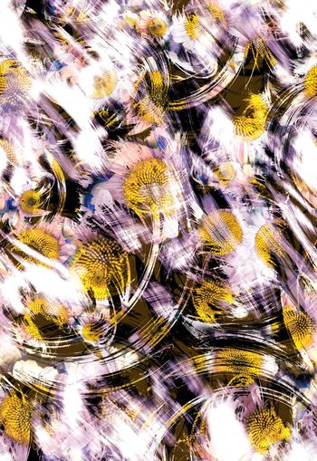 257449-抽象水墨水彩效果花卉菊花花朵