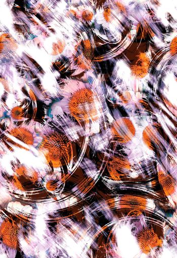 257450-抽象水墨水彩效果花卉菊花花朵