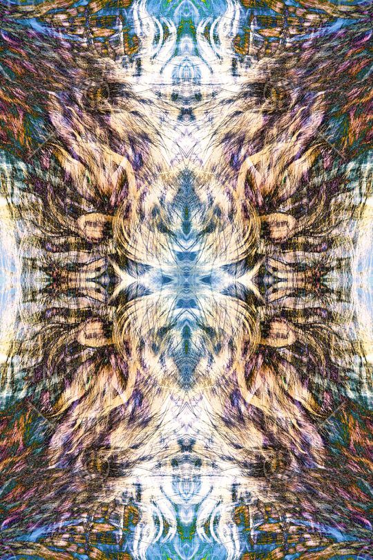 动物毛发印花华亿平台图片