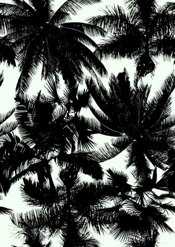 257930-非洲风景-003-2