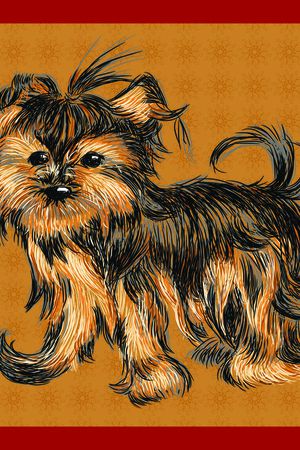 卡通印花华亿平台图片