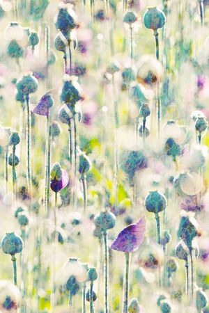 清新印花华亿平台图片