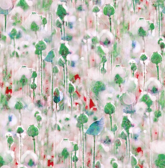 印花华亿平台图片