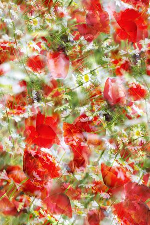 印花华亿平台图片