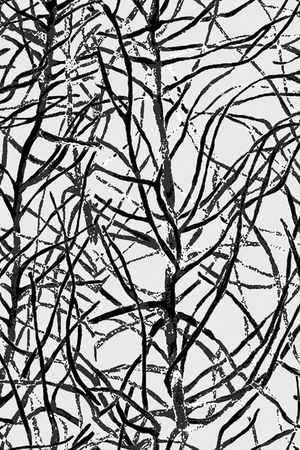 树枝印花华亿平台图片