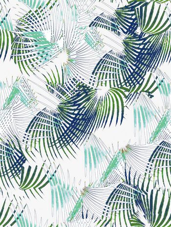 258037-椰子叶-回位-122